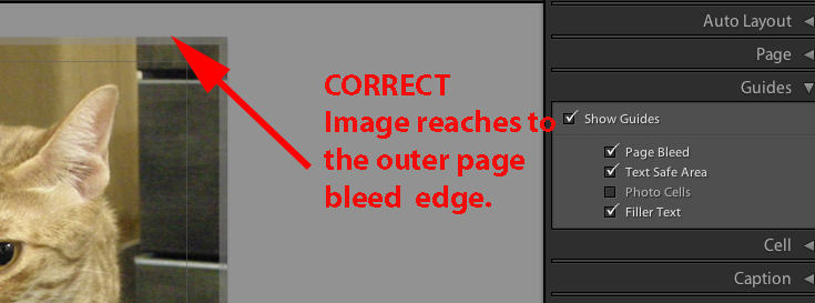 bleed_edge_with_pic_zoom.png