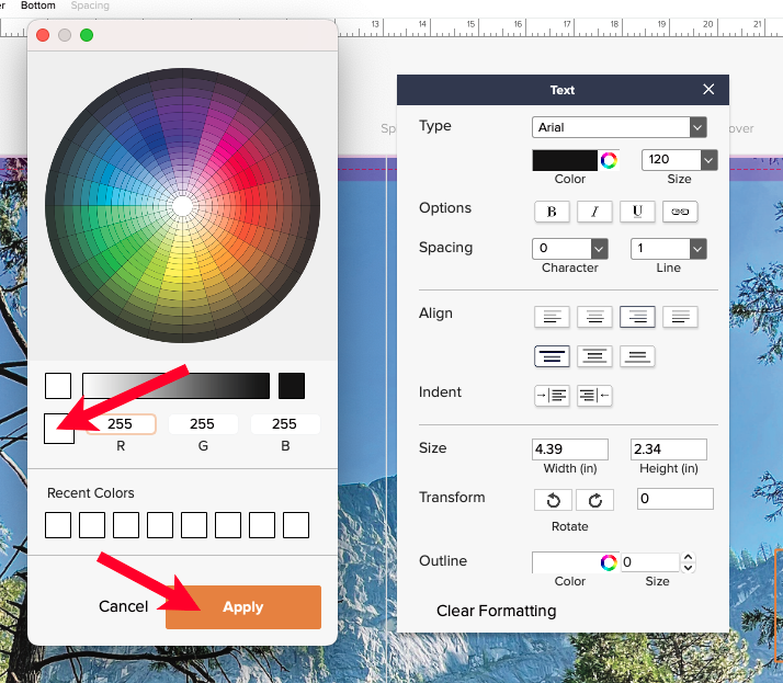 choose color.png