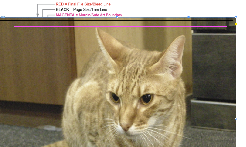 207792876-3.png