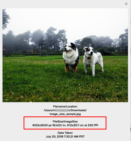 harlow_file_size.png