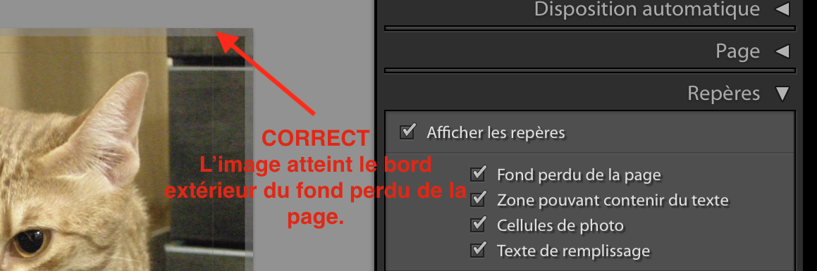 Reperes De Rognage Et Fond Perdu De Page Dans Lightroom Centre D Aide